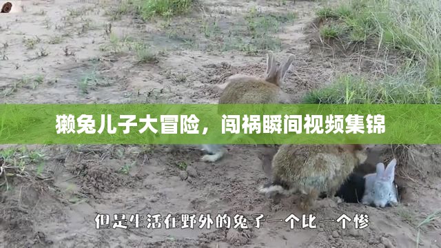支付方式 第8页