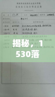 揭秘，1530落实记录表的重要性与实战应用指南