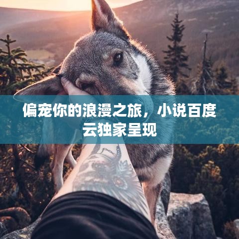 偏宠你的浪漫之旅，小说百度云独家呈现