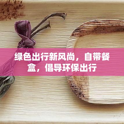 绿色出行新风尚，自带餐盒，倡导环保出行