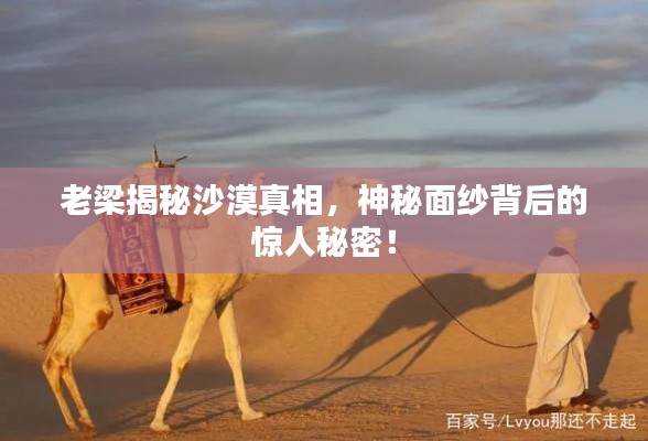 老梁揭秘沙漠真相，神秘面纱背后的惊人秘密！