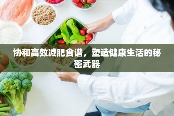 协和高效减肥食谱，塑造健康生活的秘密武器