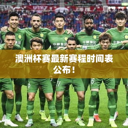 澳洲杯赛最新赛程时间表公布！