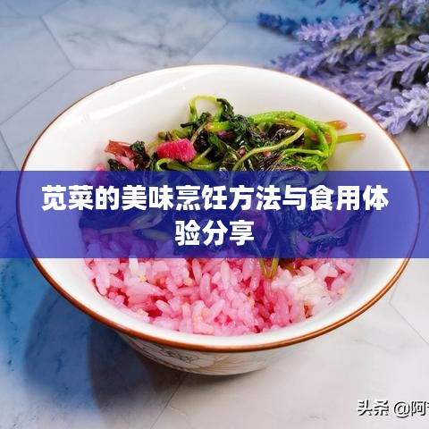 苋菜的美味烹饪方法与食用体验分享