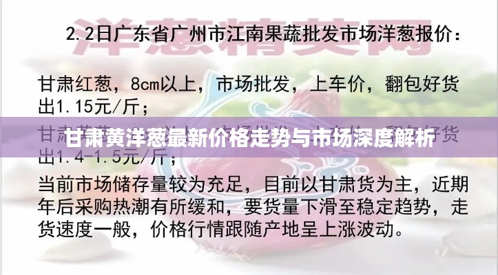 甘肃黄洋葱最新价格走势与市场深度解析