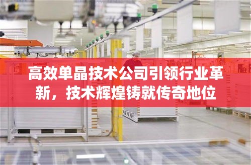 高效单晶技术公司引领行业革新，技术辉煌铸就传奇地位
