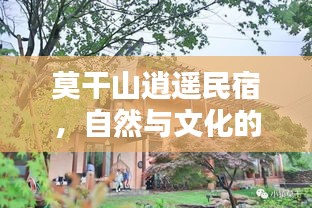 莫干山逍遥民宿，自然与文化的完美融合体验
