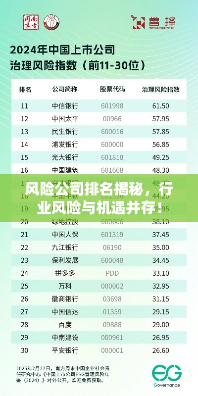 风险公司排名揭秘，行业风险与机遇并存！