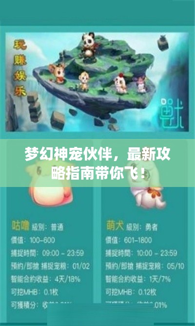 梦幻神宠伙伴，最新攻略指南带你飞！