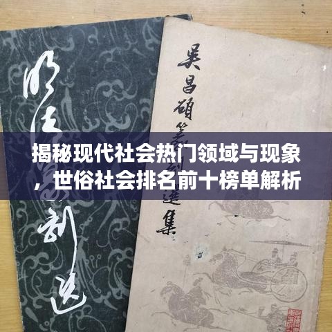 揭秘现代社会热门领域与现象，世俗社会排名前十榜单解析