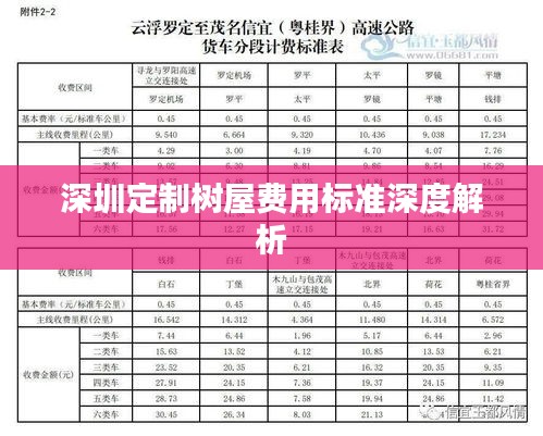深圳定制树屋费用标准深度解析