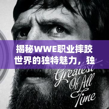 揭秘WWE职业摔跤世界的独特魅力，独家资料大放送
