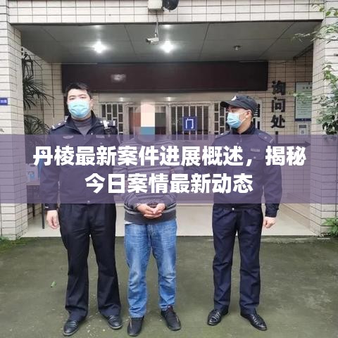 丹棱最新案件进展概述，揭秘今日案情最新动态