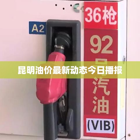 昆明油价最新动态今日播报