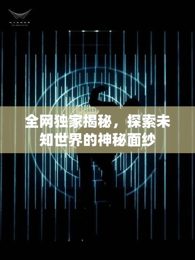 全网独家揭秘，探索未知世界的神秘面纱