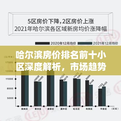 哈尔滨房价排名前十小区深度解析，市场趋势与最新动态一网打尽