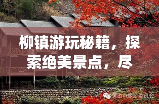 柳镇游玩秘籍，探索绝美景点，尽享独特风情！