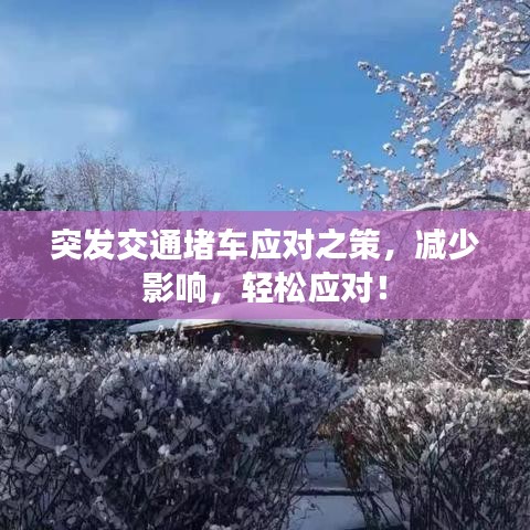 突发交通堵车应对之策，减少影响，轻松应对！