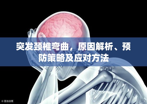 突发颈椎弯曲，原因解析、预防策略及应对方法