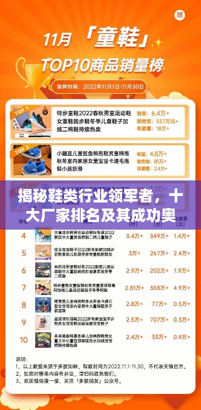 揭秘鞋类行业领军者，十大厂家排名及其成功奥秘
