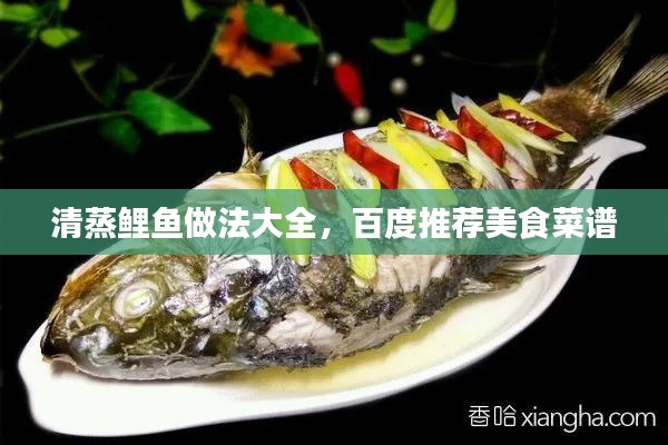清蒸鲤鱼做法大全，百度推荐美食菜谱