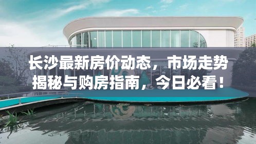 长沙最新房价动态，市场走势揭秘与购房指南，今日必看！