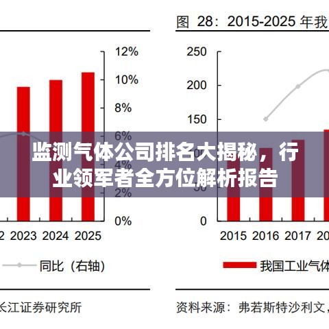 监测气体公司排名大揭秘，行业领军者全方位解析报告