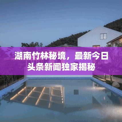 湖南竹林秘境，最新今日头条新闻独家揭秘