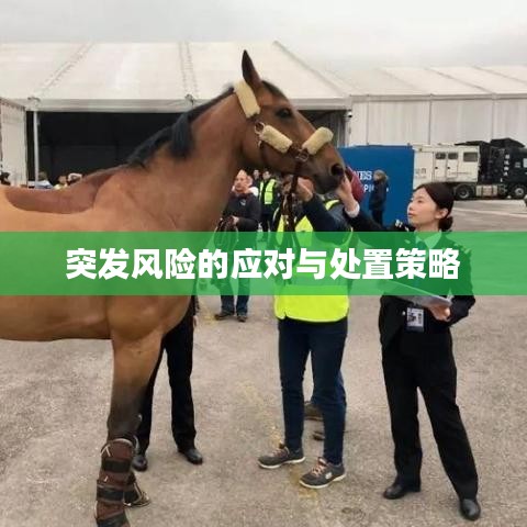 突发风险的应对与处置策略
