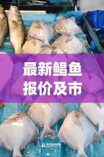 最新鲳鱼报价及市场动态，今日查询全掌握