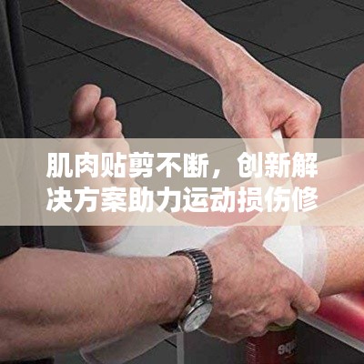 投诉说明 第4页