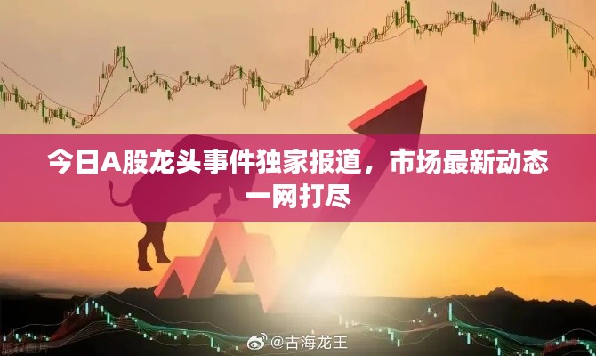 关于订购 第4页