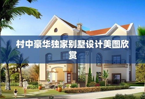 村中豪华独家别墅设计美图欣赏