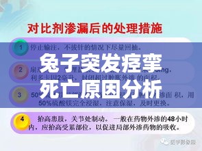兔子突发痉挛死亡原因分析及预防策略