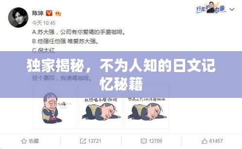 独家揭秘，不为人知的日文记忆秘籍