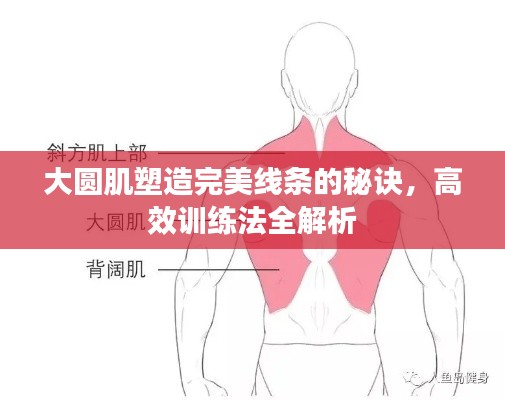 大圆肌塑造完美线条的秘诀，高效训练法全解析