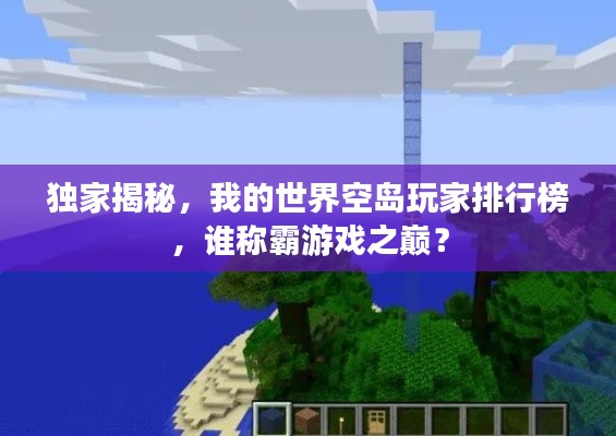 独家揭秘，我的世界空岛玩家排行榜，谁称霸游戏之巅？