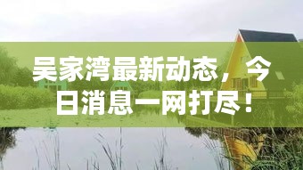 吴家湾最新动态，今日消息一网打尽！