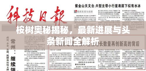 桉树奥秘揭秘，最新进展与头条新闻全解析