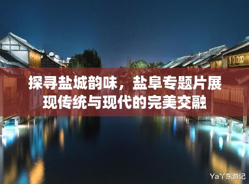 探寻盐城韵味，盐阜专题片展现传统与现代的完美交融
