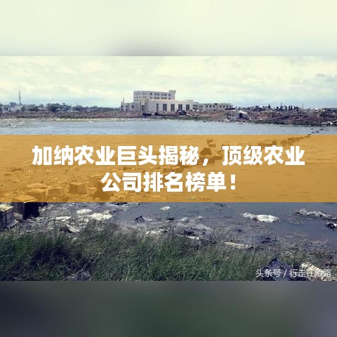 加纳农业巨头揭秘，顶级农业公司排名榜单！