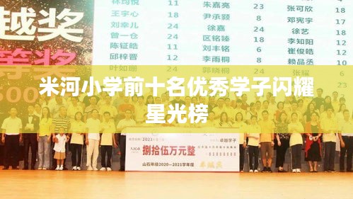 米河小学前十名优秀学子闪耀星光榜
