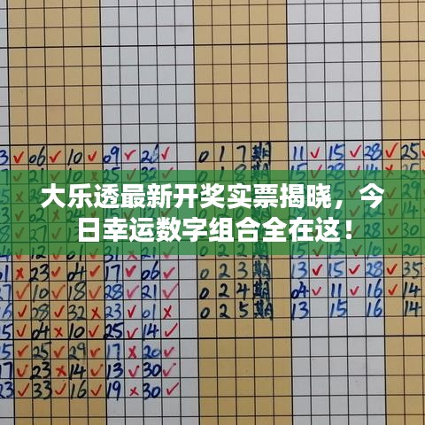 大乐透最新开奖实票揭晓，今日幸运数字组合全在这！