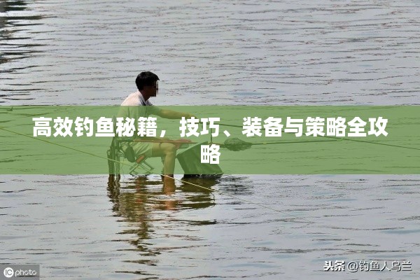 高效钓鱼秘籍，技巧、装备与策略全攻略