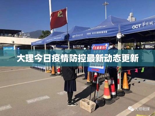 大理今日疫情防控最新动态更新