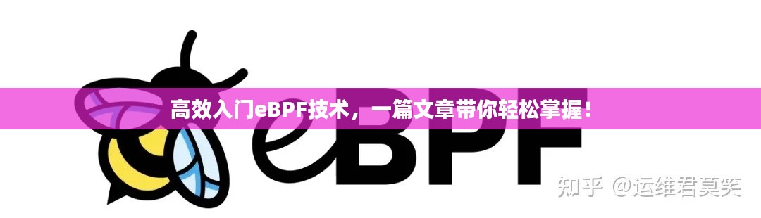高效入门eBPF技术，一篇文章带你轻松掌握！