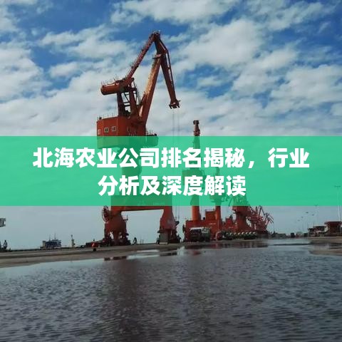 北海农业公司排名揭秘，行业分析及深度解读