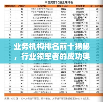 业务机构排名前十揭秘，行业领军者的成功奥秘