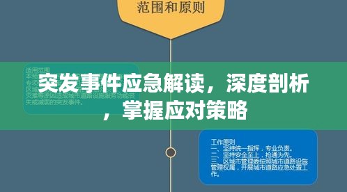 突发事件应急解读，深度剖析，掌握应对策略