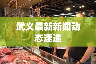 武义最新新闻动态速递